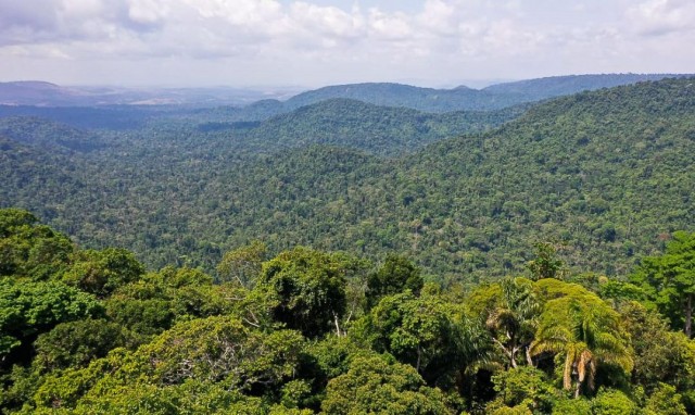 Projetos de bioeconomia podem se inscrever no Inova Amazônia 2023