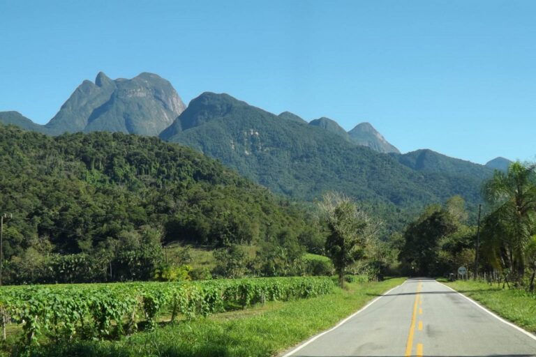 Qual o futuro do ICMS Ecológico na Reforma Tributária?