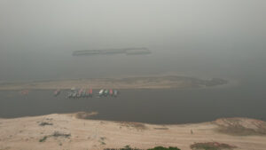 Queimadas no Amazonas: um pedido de socorro ao STF 