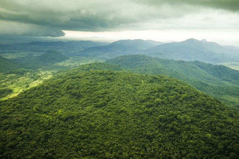 Unidades de Conservação no Pará ajudam a mitigar efeitos climáticos globais