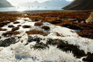 5 fatos sobre o permafrost, a estrutura do solo que pode alterar o clima