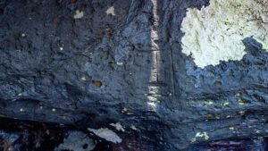 As pedras Ühtã Hori e a cosmologia indígena do Rio Negro