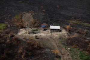 Com 4 mil focos de queimadas, Pantanal tem pior novembro da série histórica