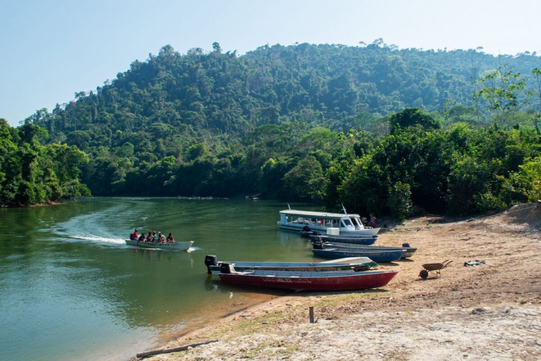 Créditos de carbono: empresa é acusada de violar direitos indígenas em contratos