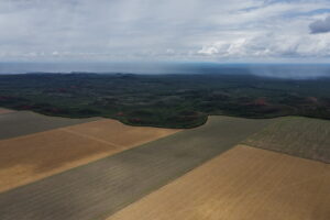 Desmatamento no Cerrado cresce 3% e chega a 11 mil km²