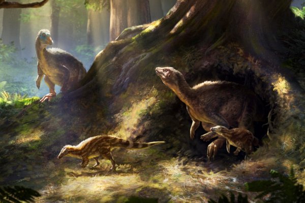 Dinossauro 'esquecido' tinha superolfato para encontrar comida