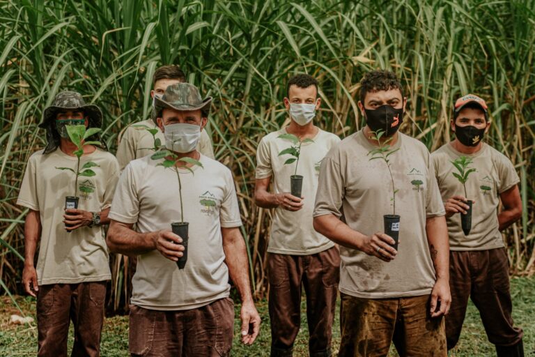 Encontro de plantadores de árvores é promovido no Paraná