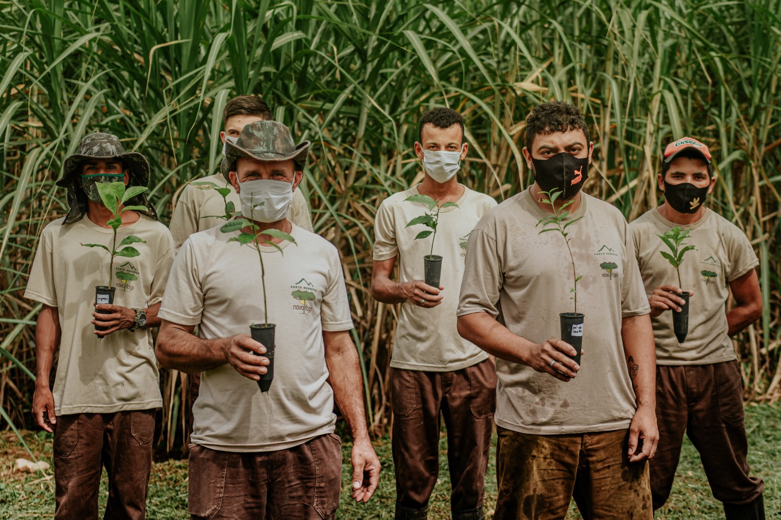 Encontro de plantadores de árvores é promovido no Paraná