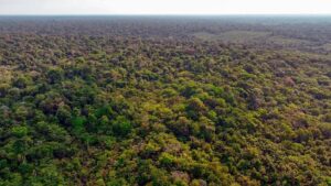 floresta-amazonica-_20231122-210937_1