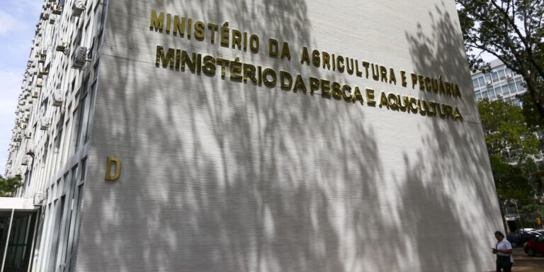 Força-tarefa apreende mais de 6 mil garrafas de azeite falsificado