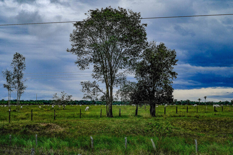 Gases estufa emitidos no último ano de Bolsonaro atingem 3ª maior cifra desde 2005