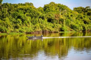 Indicadores ambientais e de produtividade apontam que Rondônia avança em sustentabilidade