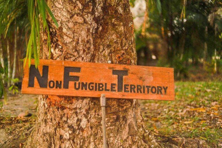 Lotes de território indígena são vendidos como NFTs sem conhecimento da Funai