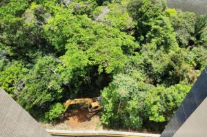 Na mira da crise climática, a capital baiana segue perdendo Mata Atlântica