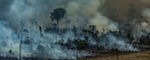 Para cumprir metas do Acordo de Paris, Brasil precisa diminuir em 48% o desmatamento na Amazônia, aponta Observatório do Clima