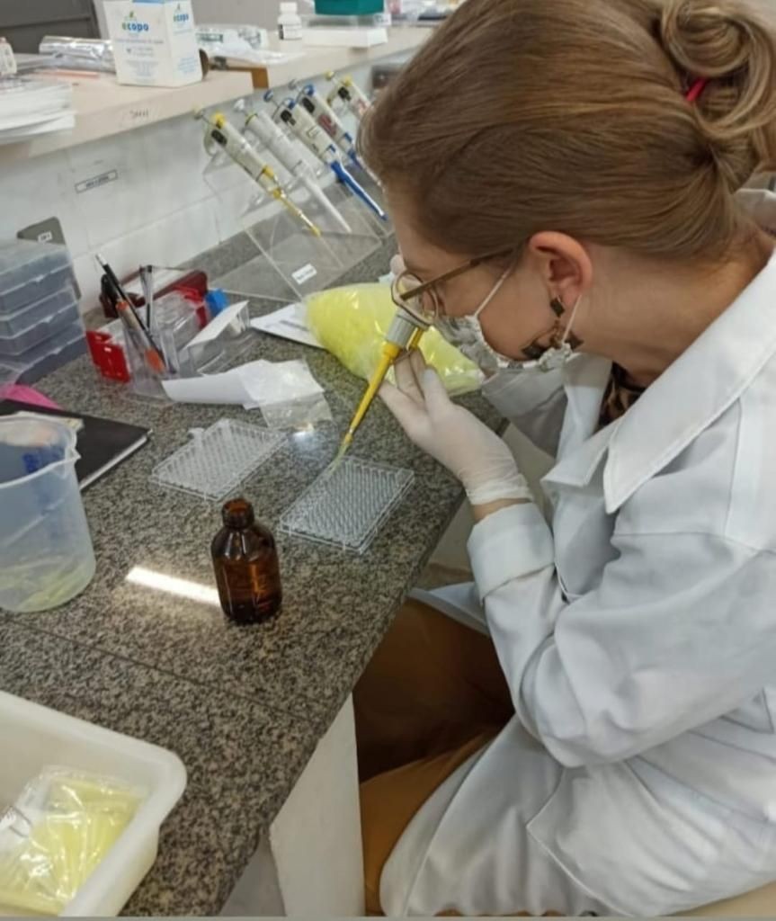 Película biodegradável é desenvolvida no Mato Grosso para conservação de alimentos