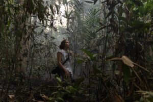 Pesquisadora dedica a vida a entender a dinâmica do fogo na Amazônia