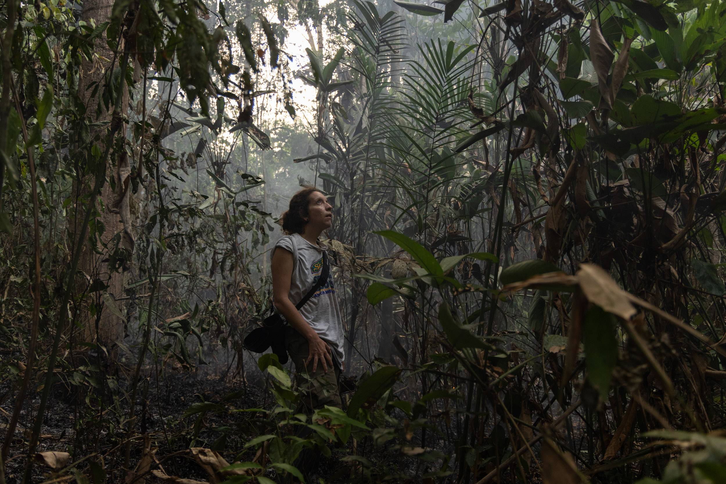 Pesquisadora dedica a vida a entender a dinâmica do fogo na Amazônia