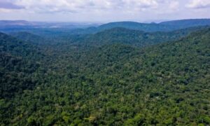 Relatório aponta que cumprimento do Acordo de Paris vai além da Amazônia