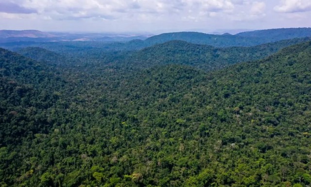 Relatório aponta que cumprimento do Acordo de Paris vai além da Amazônia