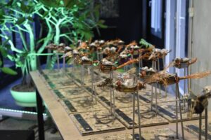 Reportagem de ((o))eco em parceria com Vós ganha prêmio no Sul