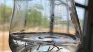 WhatsApp-Image-2023-10-31-at-11.04.12-e1698764653730-1200x67_20231102-181114_1