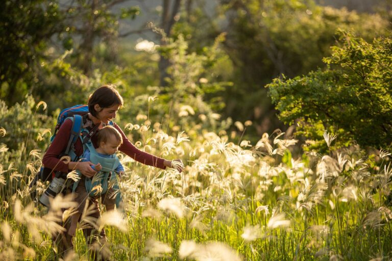 Bióloga luta há uma década para salvar arara símbolo do sertão nordestino
