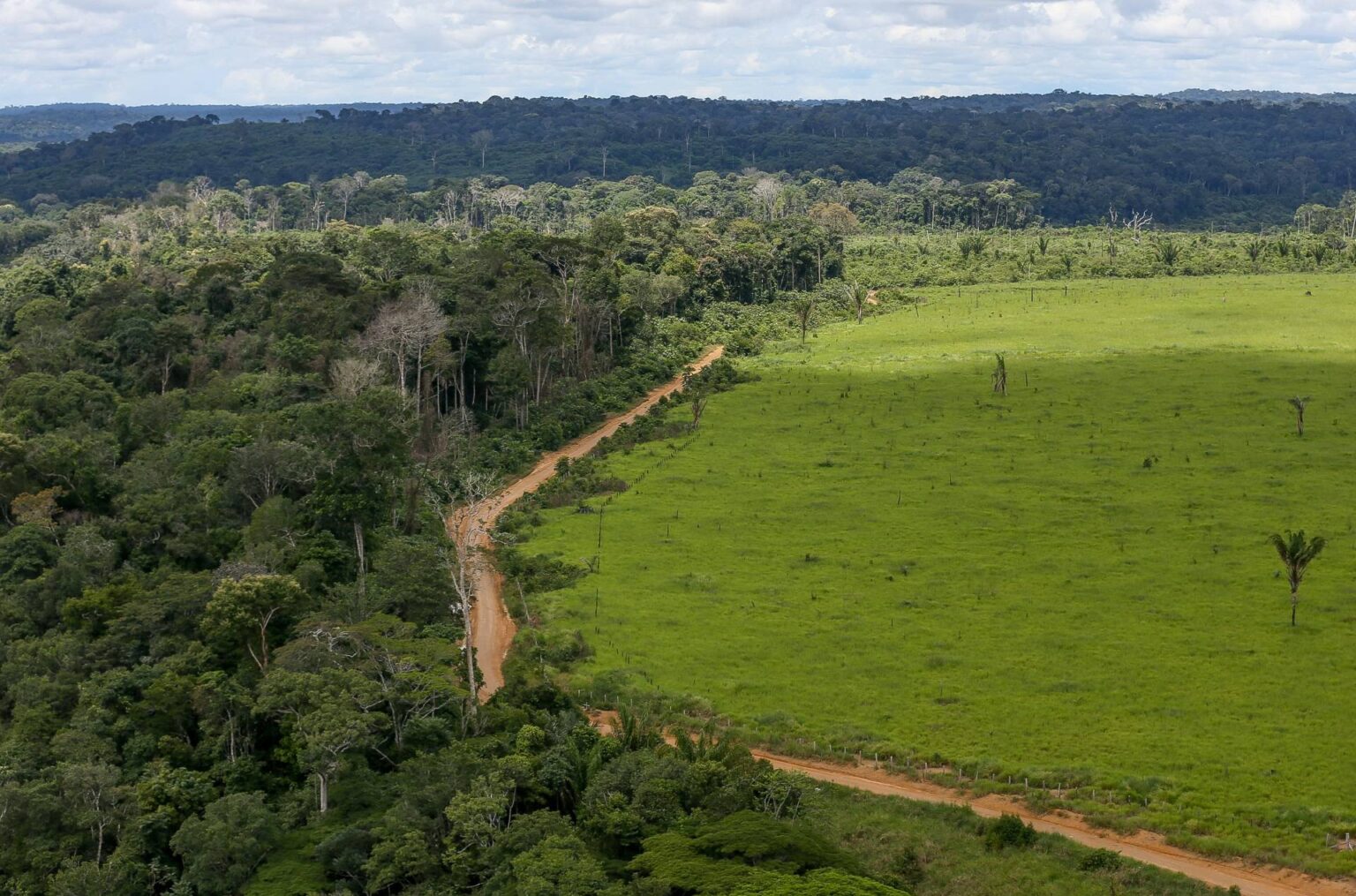 Brasil pode reduzir emissões drasticamente com soluções baseadas na natureza, aponta estudo