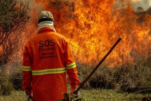 Campanha de doações para as Brigadas Pantaneiras é lançada pela SOS Pantanal