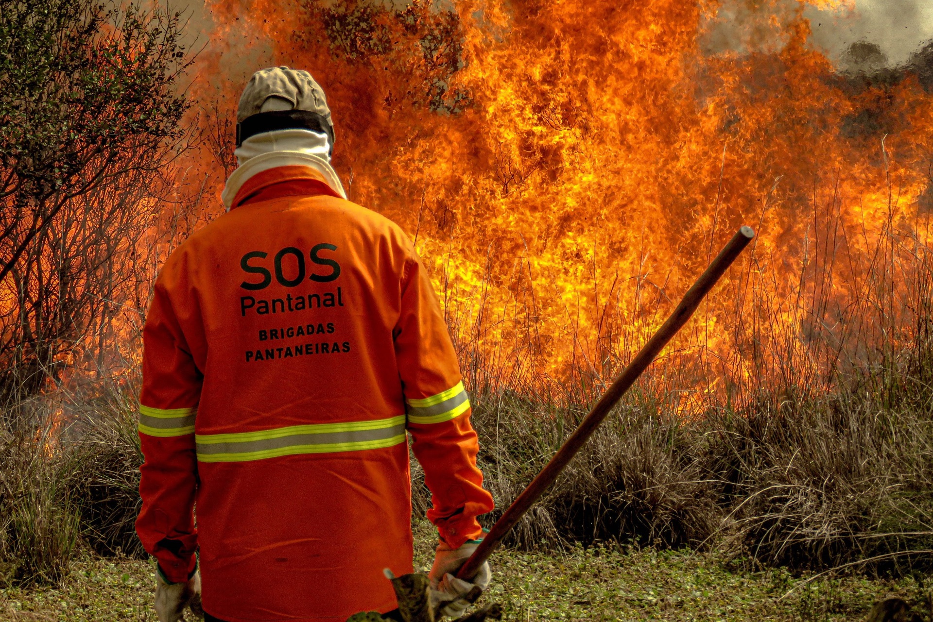 Campanha de doações para as Brigadas Pantaneiras é lançada pela SOS Pantanal