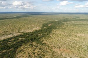 Como uma fazenda foi comprada por R$ 1 milhão em refúgio de ararinhas-azuis