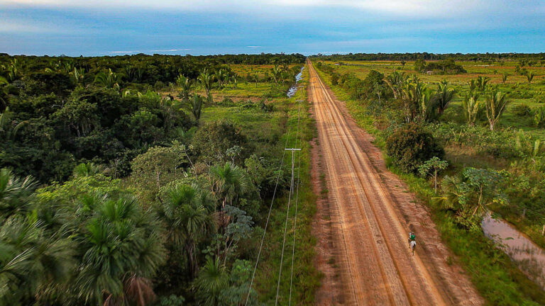 Correndo para o fim da floresta amazônica: BR-319 entra na pauta do plenário da Câmara