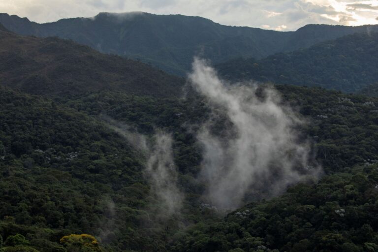 Deputados mineiros aprovam ampliação da Estação Ecológica de Fechos