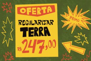 Grileiros na Amazônia usam inteligência territorial para usurpar terras públicas