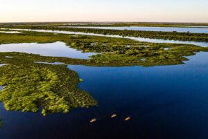 Lei sancionada no MS protege cheias e vazantes do Pantanal