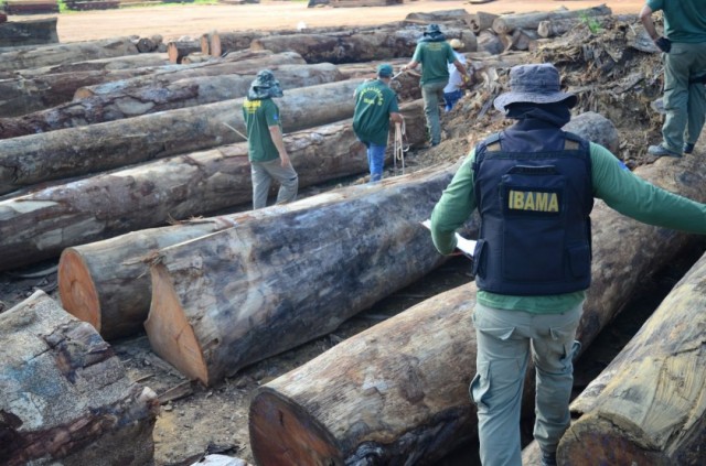 Mapeamento aponta que quase 30% da exploração de madeira na Amazônia é ilegal