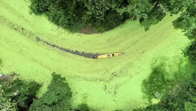 Ministério da Agricultura divulga políticas voltadas à promoção da sustentabilidade na Região Norte