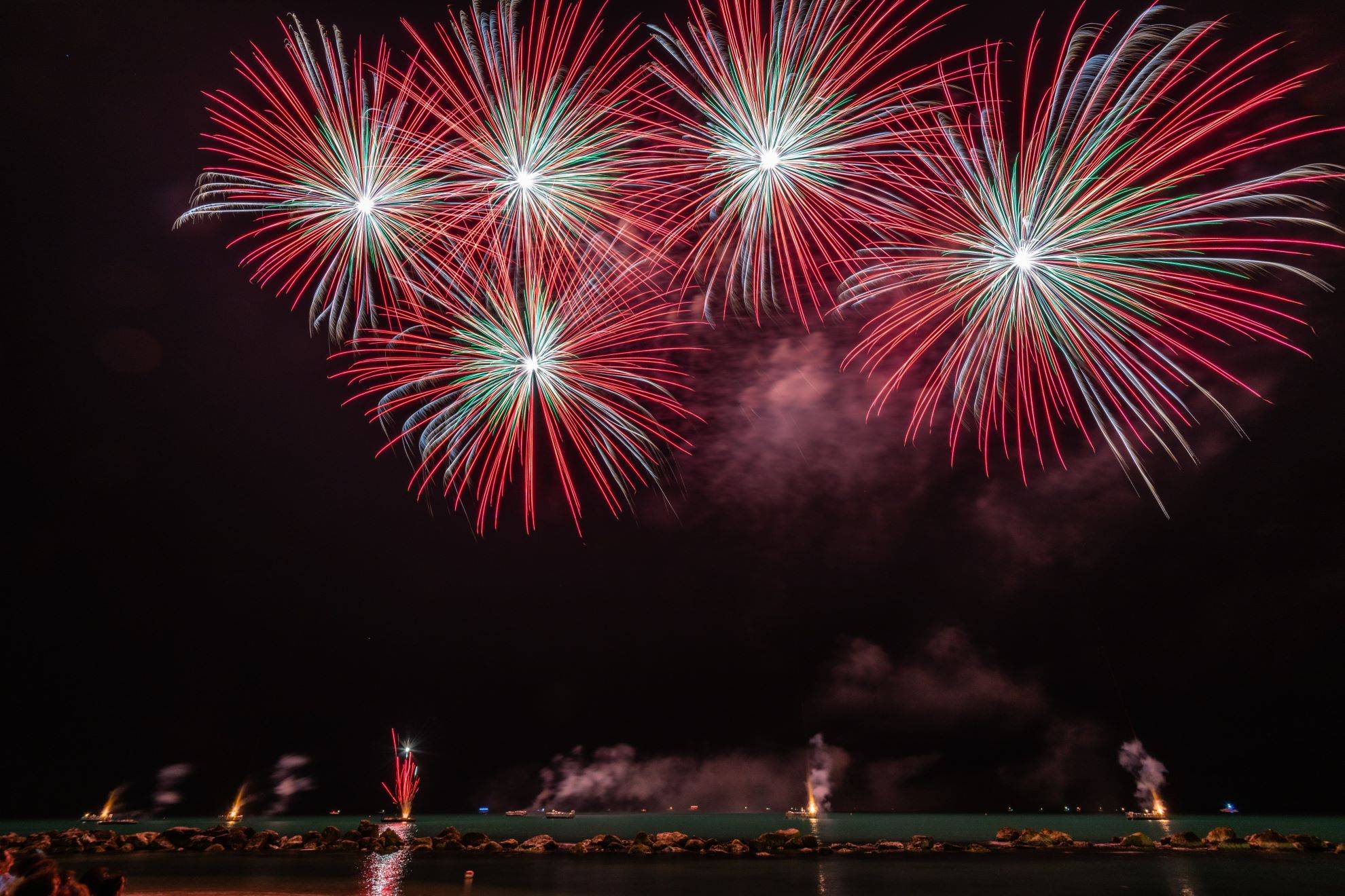 Pânico no ar: fogos de artifício do réveillon afetam milhões de aves