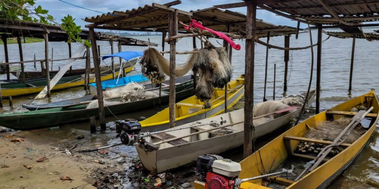 Peixe na água e rede vazia: desastre da Braskem atinge pescadores