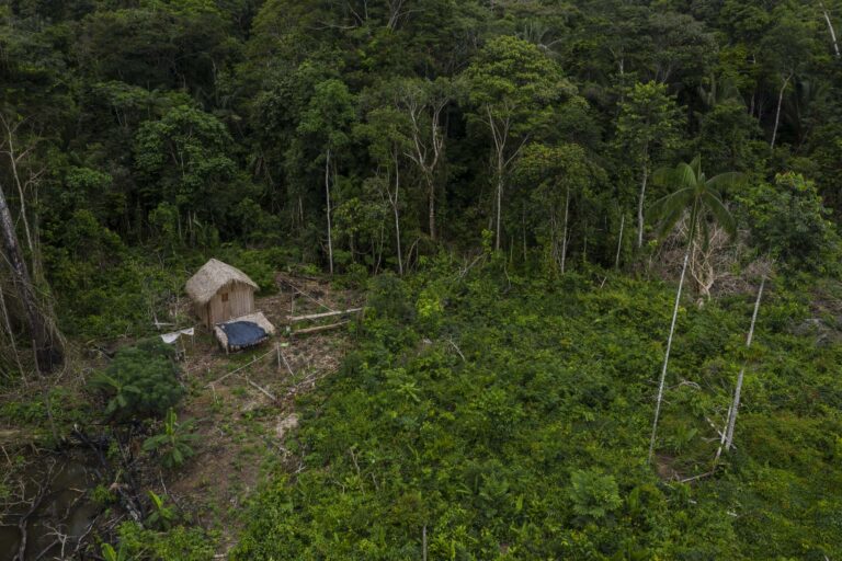 Regularização fundiária em Unidades de Conservação vai levar 490 anos, no passo que está