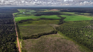 Vetado artigo que ampliava regularização de terras na Amazônia