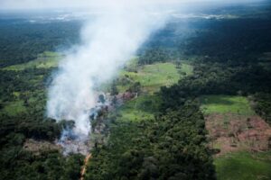 Visando preservação da Amazônia, Pará vai implementar modelo de restauração florestal