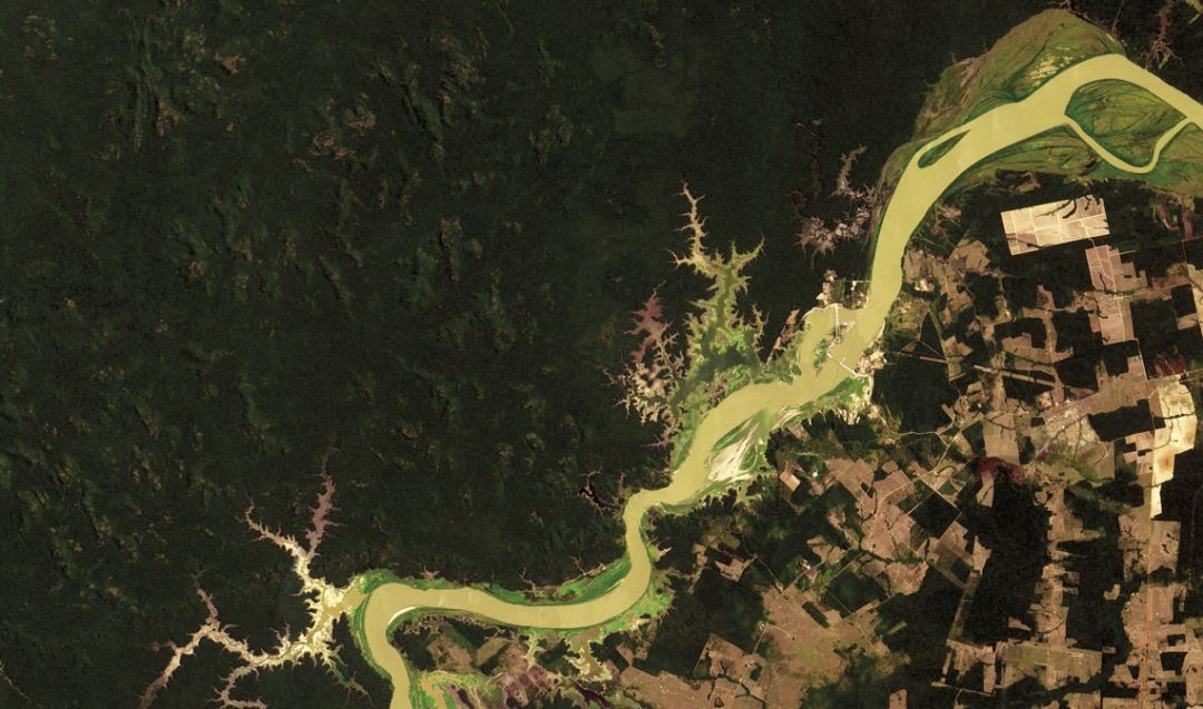 Você sabe como o desmatamento da Amazônia é monitorado?