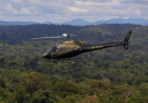 Área sob alertas de desmatamento na Amazônia cai 50% em 2023, informa MMA