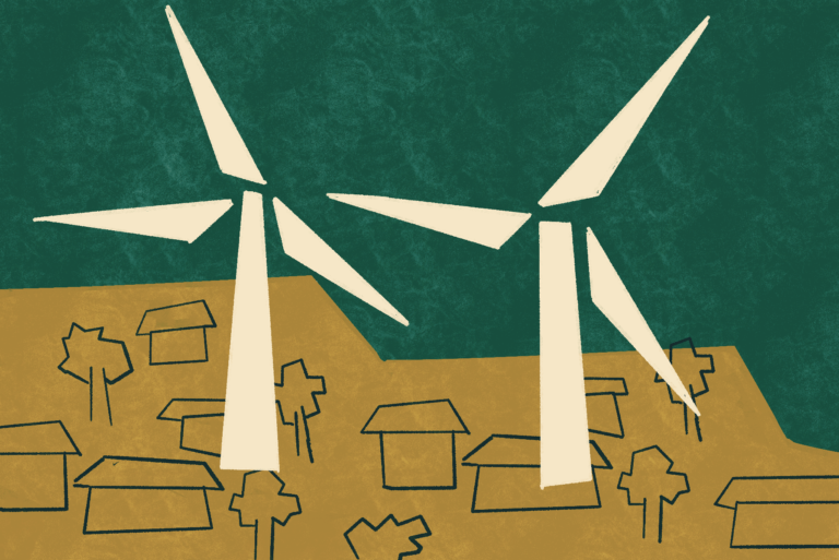 Caatinga vive o dilema da transição energética justa