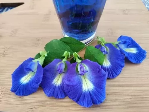 d_nq_np_722753-mlb53708965170_022023-o-kzdz3xag89-_20231228-222404_1