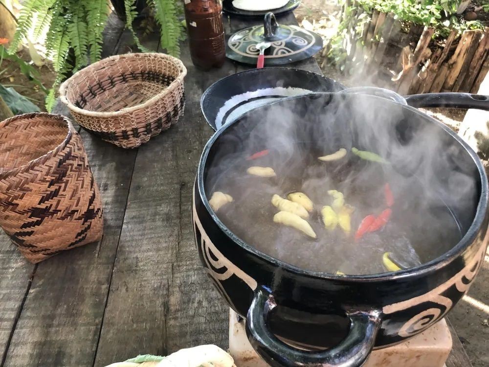 Comidas “estranhas” típicas da Amazônia: qual você provaria?