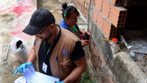 Dengue atinge 157 pessoas por dia no Amazonas