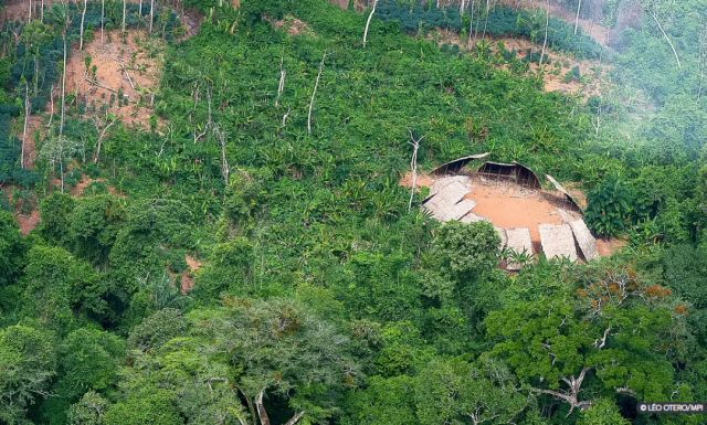 Desmatamento caiu 73% nas áreas protegidas da Amazônia em 2023