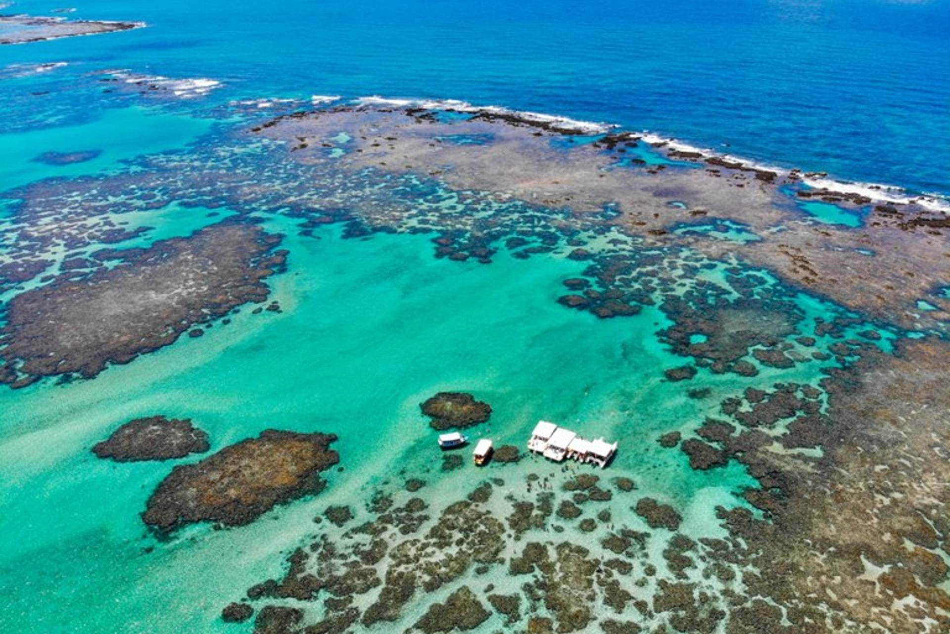Em quase três anos, avaliação ambiental no Nordeste não gerou decisão governamental